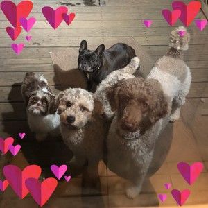 Meet your Posher, Wendy